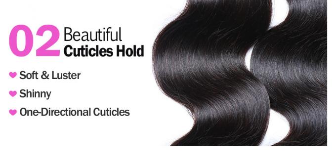 100 maagdelijke Maleise Haaruitbreidingen die Vrij Lichaamsweefsel afwerpen