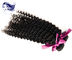 De maagdelijke Peruviaanse Curly Hair Extensions Jet Zwarte van Jerry, Remy-Haaruitbreidingen leverancier